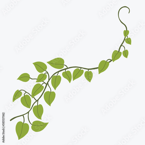 Floral ivy drawing decorative ornament flat design.