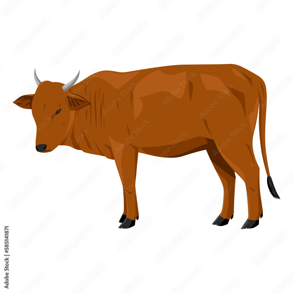 Fototapeta premium Cow in brown color, vector illustration