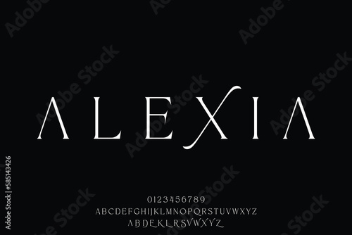 Elegant luxury minimalist serif display font vector with stylistic alternate