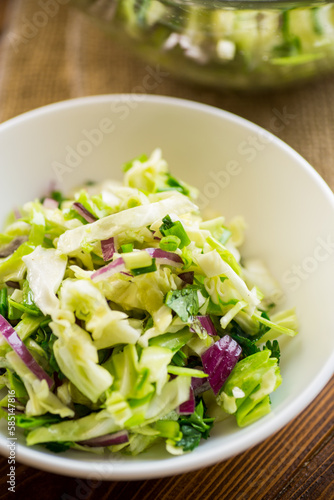Young cabbage salad with purple onions in a bowl .