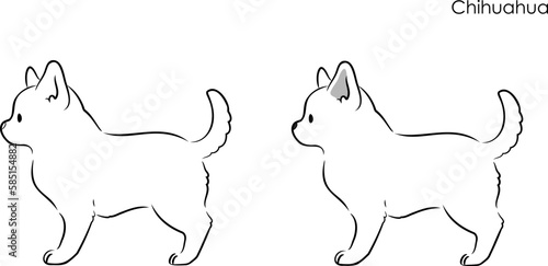 Simple and cute hand drawn line art illustration of Chihuahua in side view