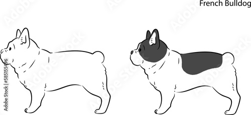 Simple hand drawn line art illustration of French Bulldog in side view
