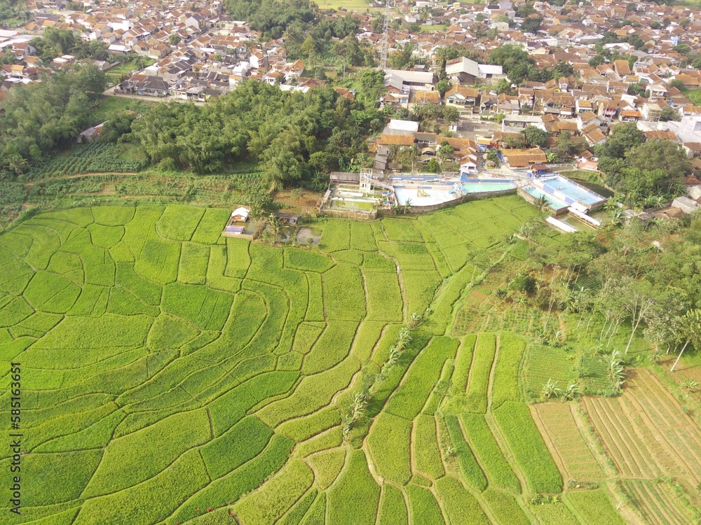 Aerial shot, landscape view of rice fields and residential areas close to each other in the Bandung area - Indonesia