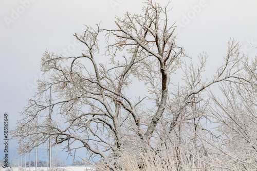 Lake Hefner after a Winter Storm