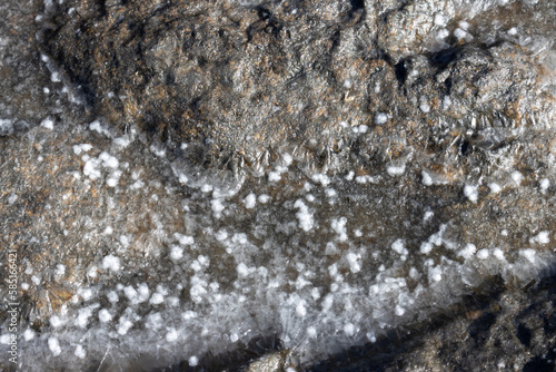 Salt sediment on a black rock, Fuertventura photo