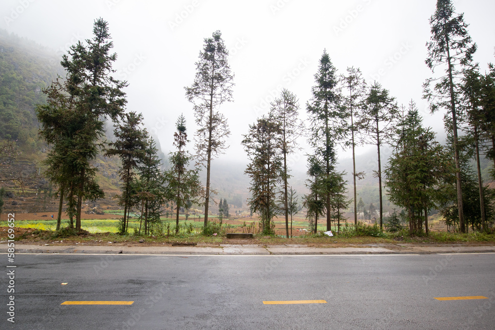 Naklejka premium Amazing landscape in Ha Giang, Vietnam