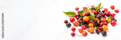 Fresh wild forest tropical exotic berries, isolate on white background. AI generated. Header banner mockup with space.