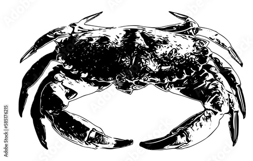 black and white crab black silhouette. Hand drawn Vector illustration for various applications, logo design, t-shirt design, web design, print, interior, books design and many more.