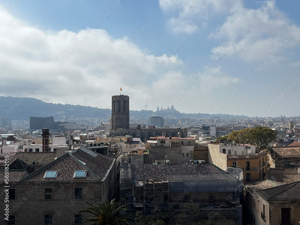 Cathédrale Sainte-Croix et point de vue à Barcelone