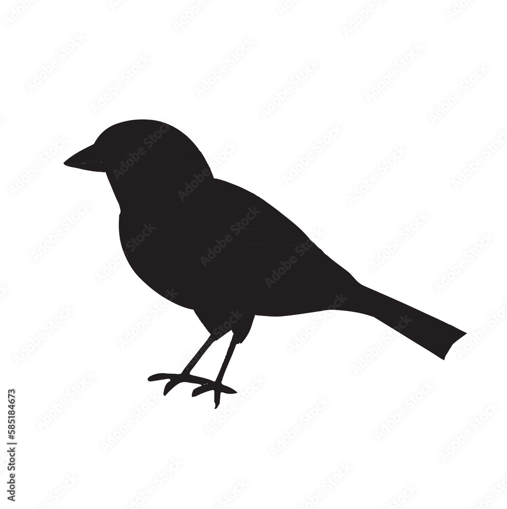 Fototapeta premium silhouette of a crow