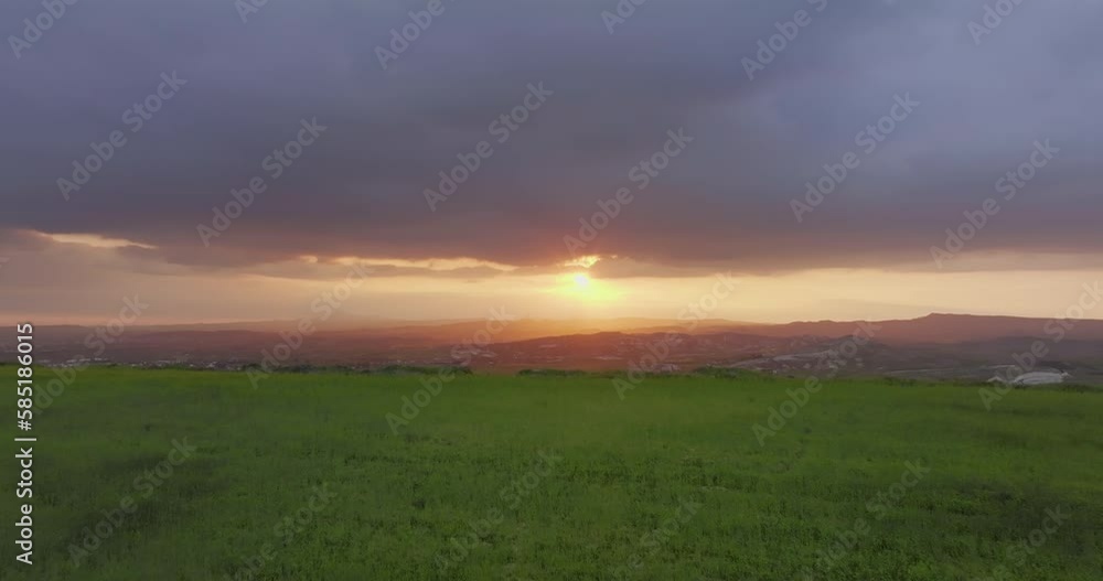 Aerial view sunset on a green field. Growing agricultural products on agricultural fields in a beautiful landscape. High quality 4k footage Aerial view sunset on a green field. Growing agricultural products on agricultural fields in a beautiful landscape. High quality 4k footage