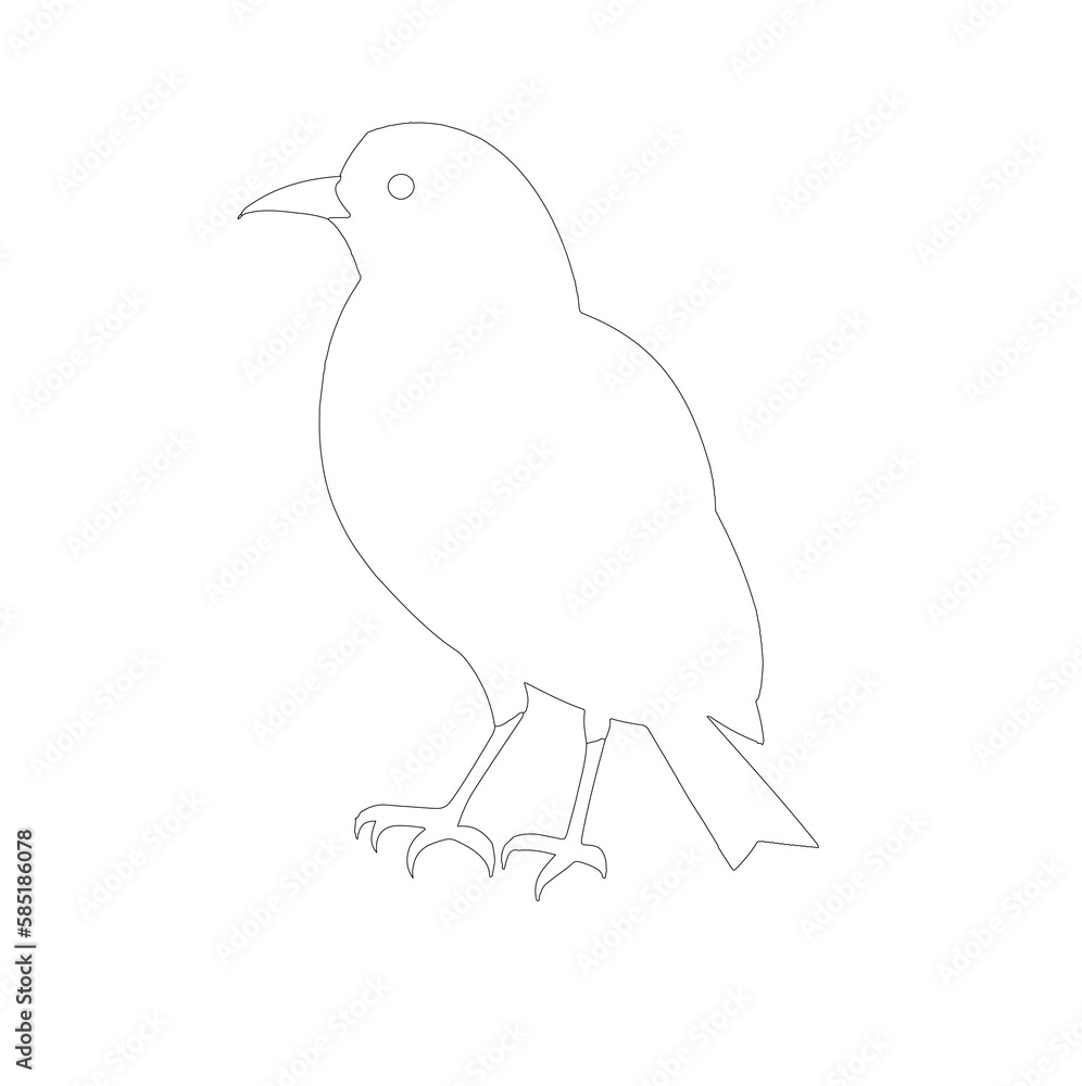 Fototapeta premium bird on a branch