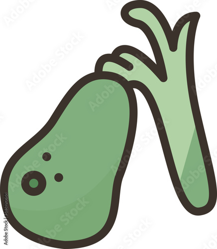 gallbladder  icon