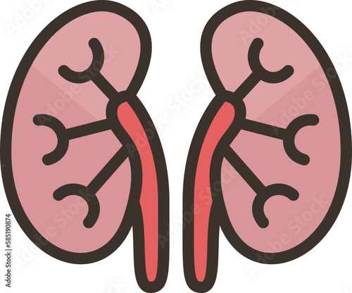 kidneys  icon