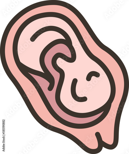 placenta  icon