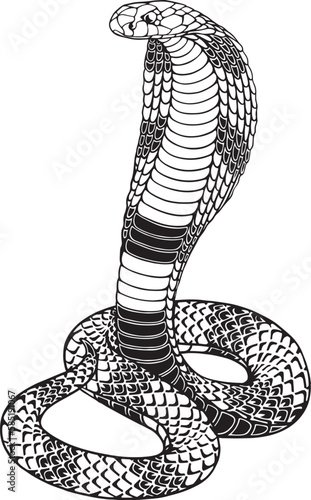 Stylized highly detailed snake cobra. Line art, sketch style