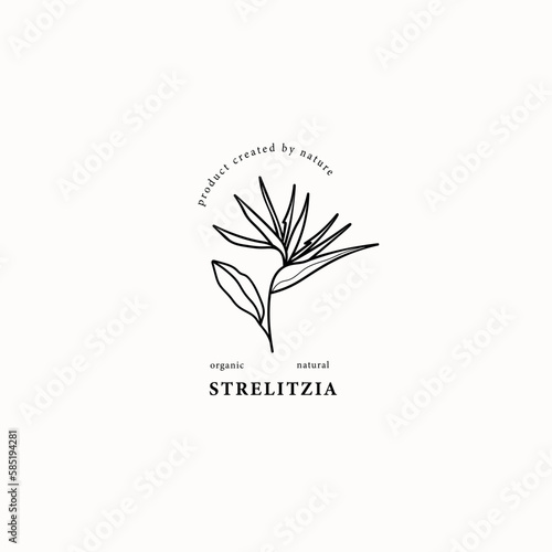 Tableau sur toile Line art strelitzia or Bird of Paradise flower illustration
