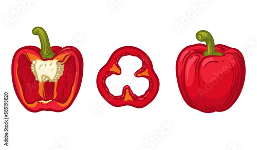 Red bell pepper, vector illustration. Whole, half and slice of pepper.
