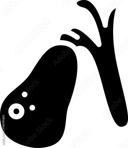 gallbladder  icon