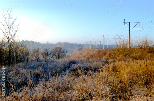 Frost on the grass of a meadow in the countryside