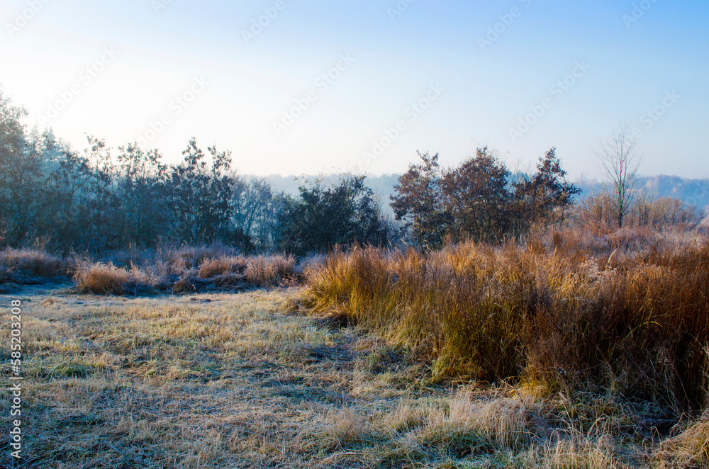 Frost on the grass of a meadow in the countryside