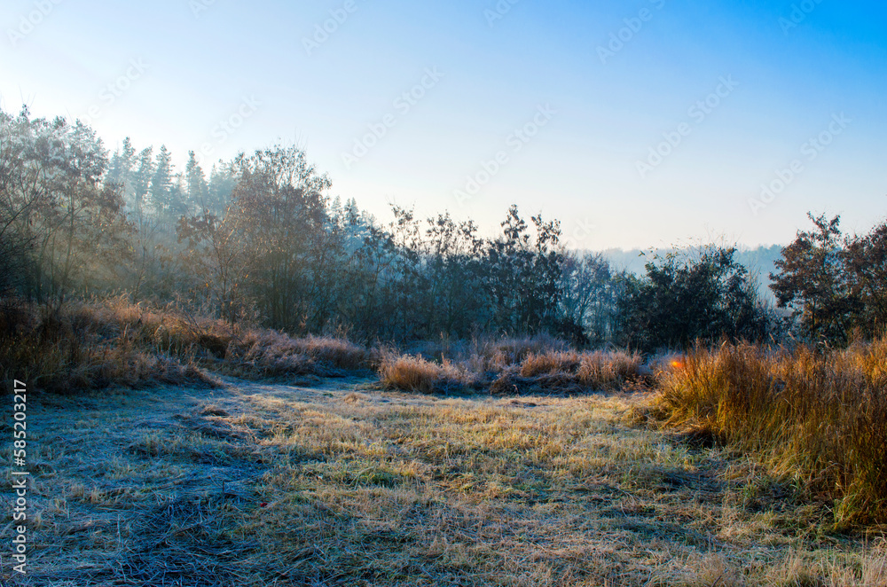 Frost on the grass of a meadow in the countryside