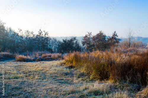 Frost on the grass of a meadow in the countryside