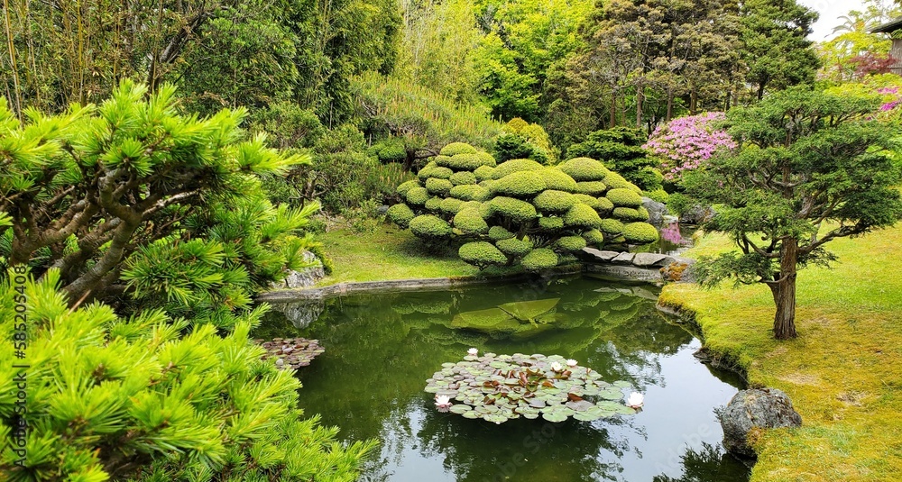 japanese garden pond japanese garden pond