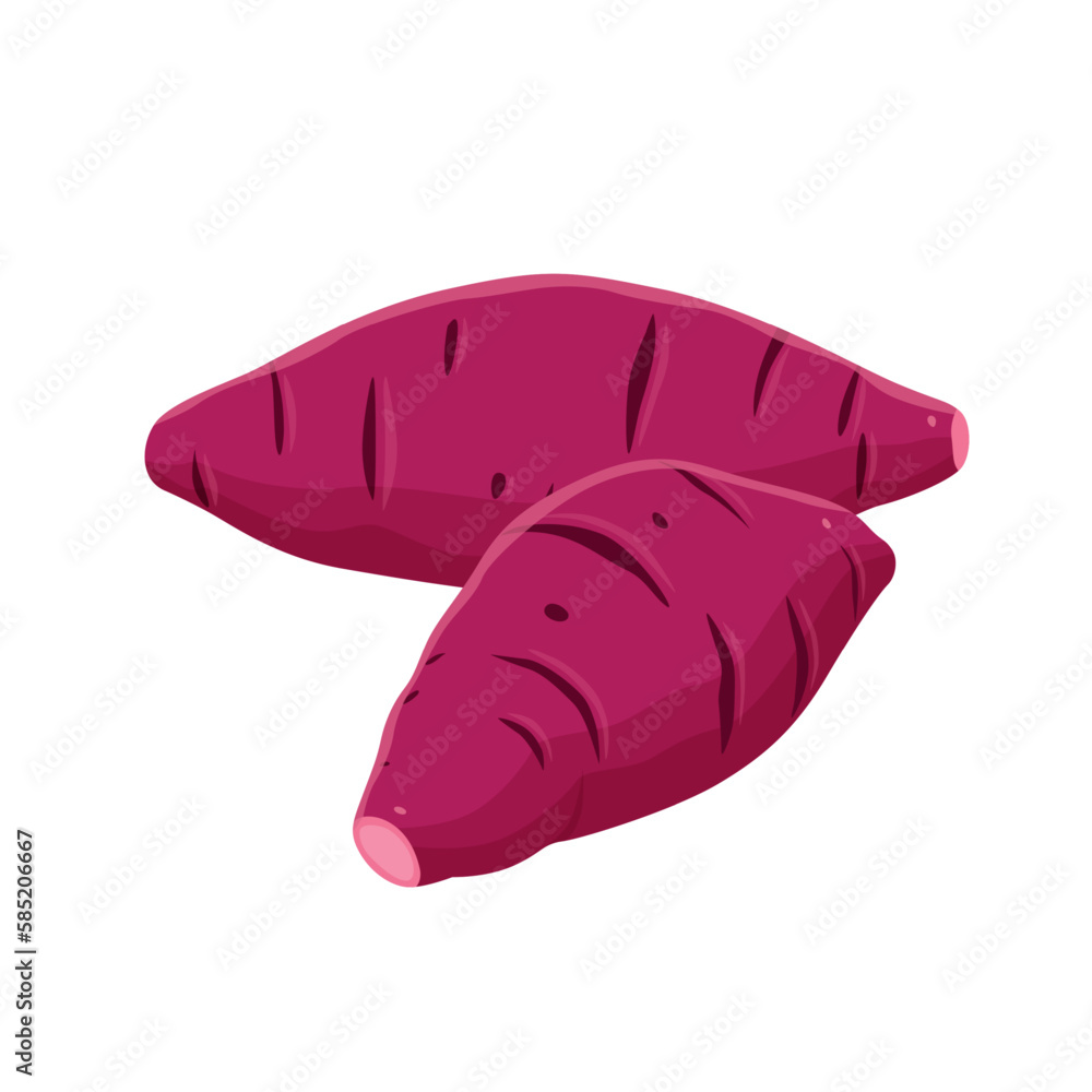 Illustration of whole sweet potato and sweet potato cut in half A smoked yamVector eps 10. Illustration of whole sweet potato and sweet potato cut in half A smoked yamVector eps 10.