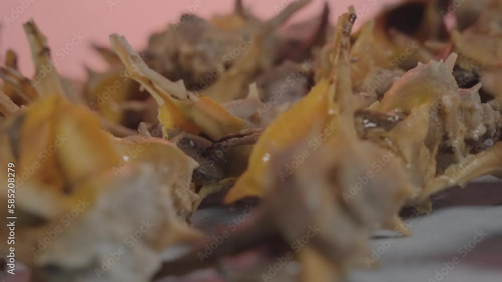Sea shells on the table Sea shells on the table