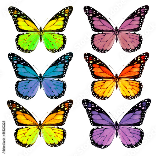 Bright colored butterflies. Set  watercolor illustration.