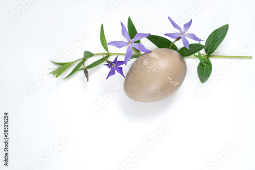 easter egg and periwinkle on on a white background. easter spring flowers. spring
