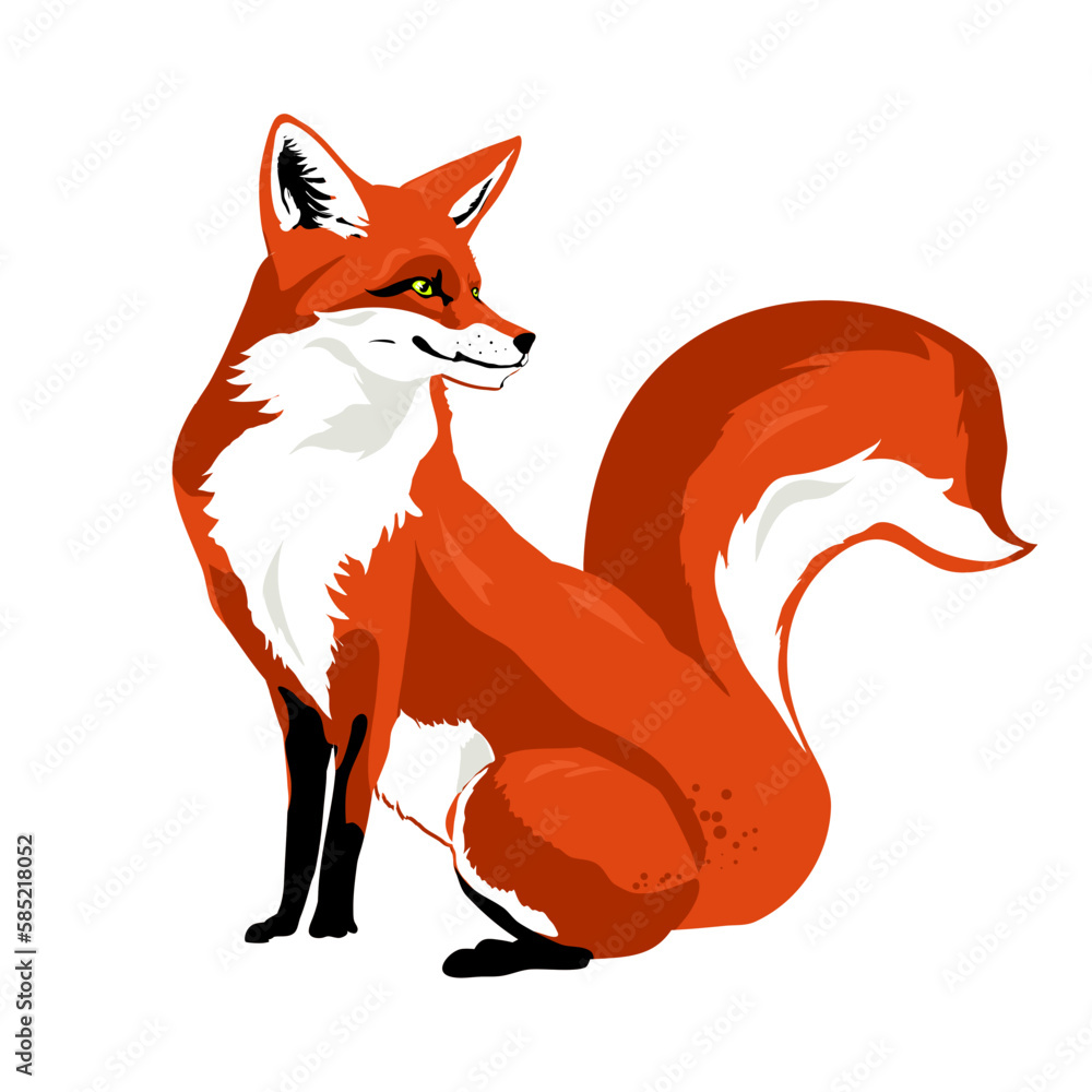 red fox- vector illustration red fox- vector illustration