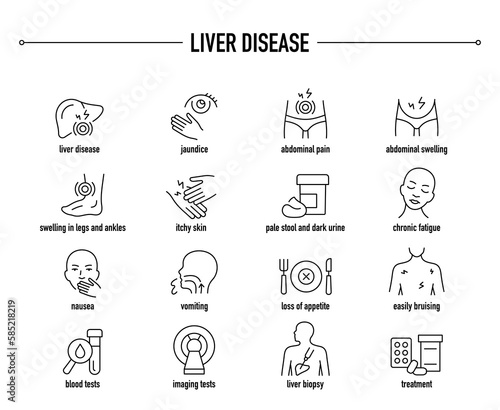 Liver Disease symptoms, diagnostic and treatment vector icon set. Line editable medical icons.