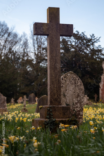 old stone cross in the cemetery with 
daffodils