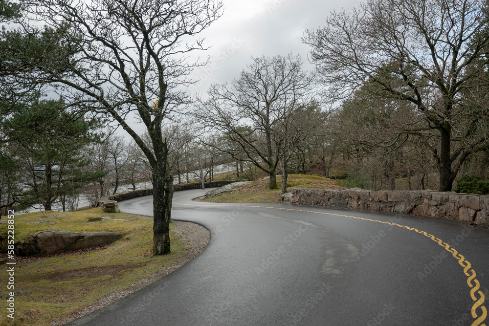 Winding road in the park