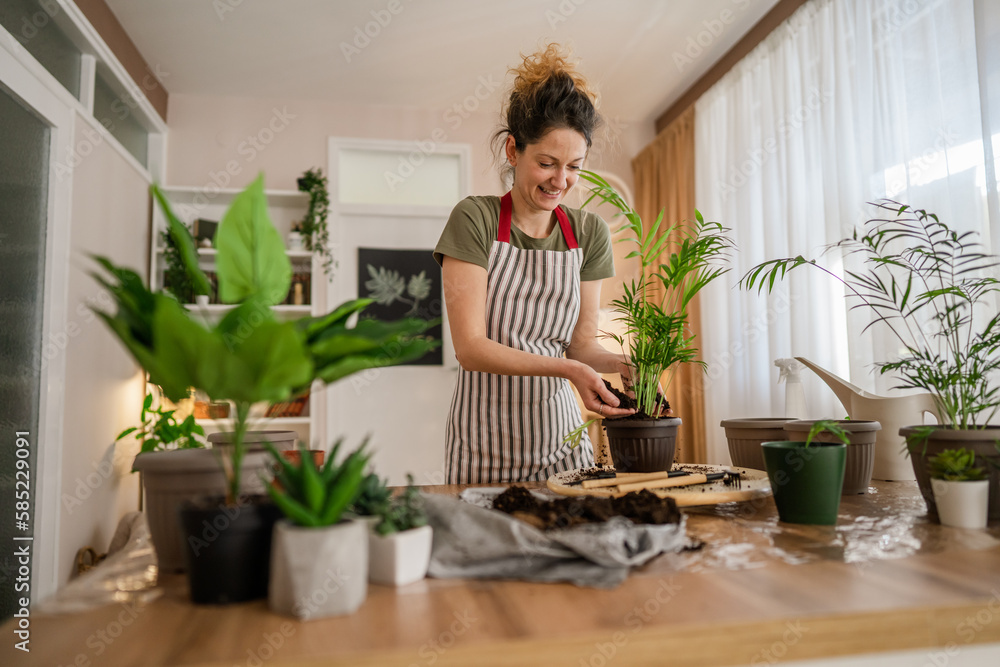 woman gardener florist take care grow cultivate plants at home woman gardener florist take care grow cultivate plants at home
