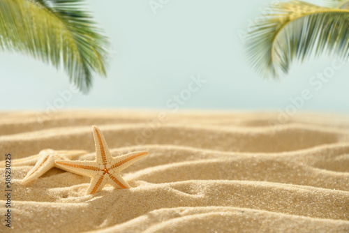 Fototapeta Naklejka Na Ścianę i Meble -  Summer vacation background with starfishes on sand and sunny tropical beach with palm leaves. Copy space. Close up.