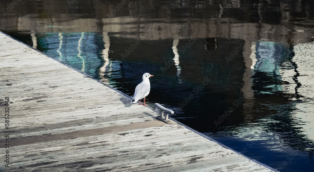 Obraz premium Famous attractions in Swansea and Oxford