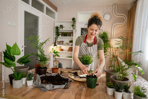 woman gardener florist take care grow cultivate plants at home