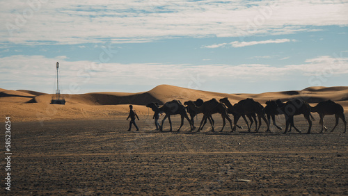 Morocco Sahara Desert