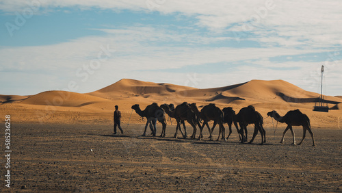 Morocco Sahara Desert