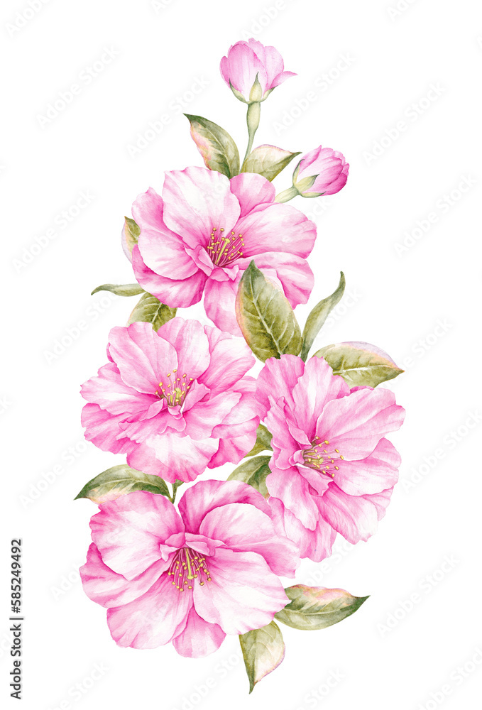 Bouquet of spring flowers. Pink spring floral Bouquet of spring flowers. Pink spring floral