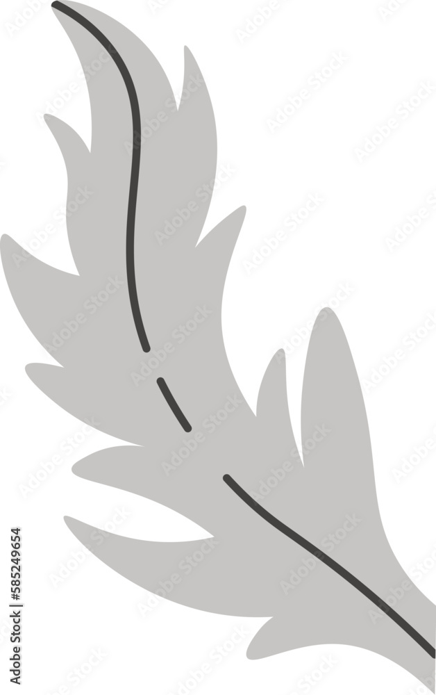 Poppy flower leaf Poppy flower leaf