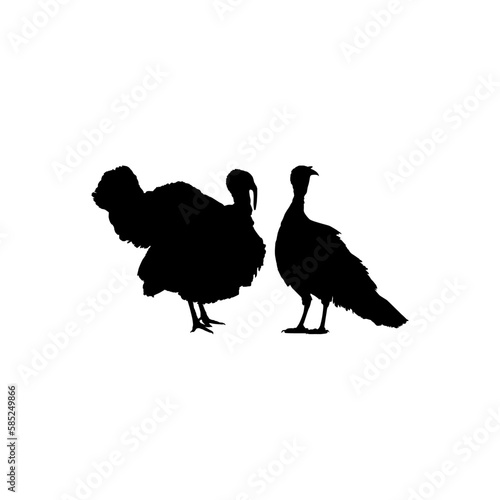 Pair of Turkey Silhouette for Art Illustration, Pictogram or Graphic Design Element. The Turkey is a large bird in the genus Meleagris. Vector Illustration 