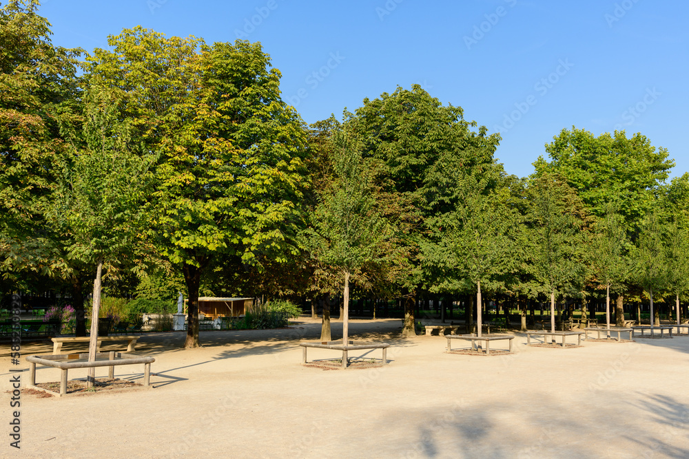 An Alley in the Jardin des Tuileries , in Europe, France, ile de France, Paris, in summer, on a sunny day.