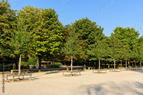 An Alley in the Jardin des Tuileries , in Europe, France, ile de France, Paris, in summer, on a sunny day.