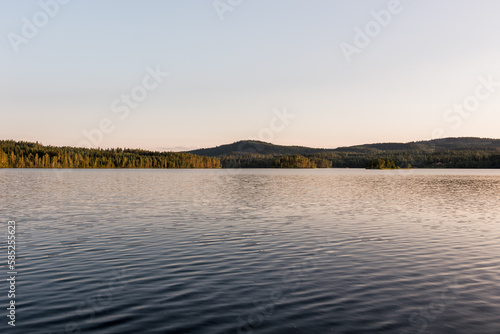 Calm lake with forest and mountains