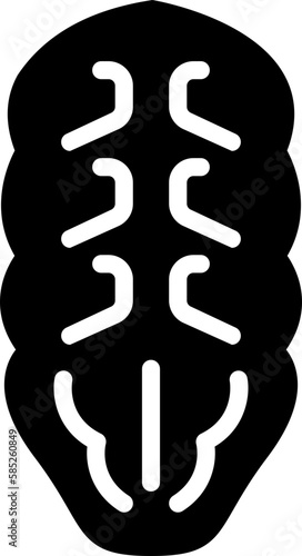 abdominal  icon