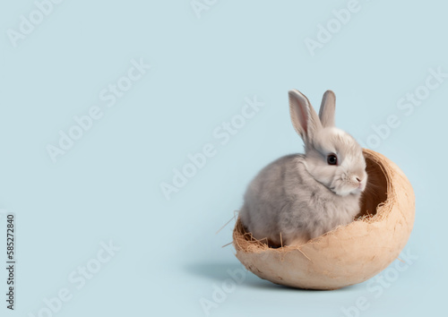 Easter baby rabbit sitting in an egg on a cyan solid background. Generative AI